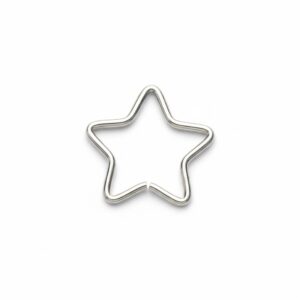 sinfín estrella plateada